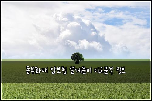 동부화재 암보험 설계준비  비교분석 정보