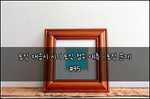토익 재응시 시기 토익 점수 예측 : 토익 문제 #45