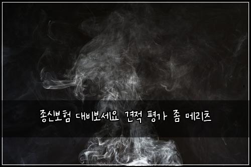 ์ข
์ ๋ณดํ ๋๋น๋ณด์ธ์ ๊ฒฌ์ ํ๊ฐ ์ข ๋ฉ๋ฆฌ์ธ