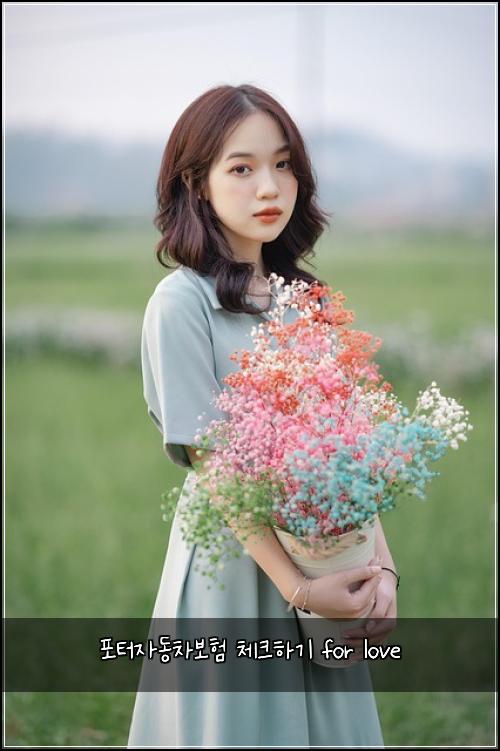 ν¬ν°μλ차보ν 체ν¬νκΈ° for love