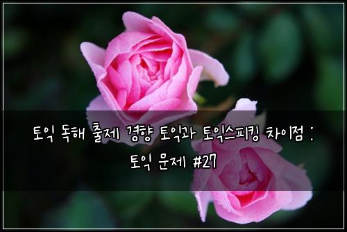 토익 독해 출제 경향 토익과 토익스피킹 차이점 : 토익 문제 #27