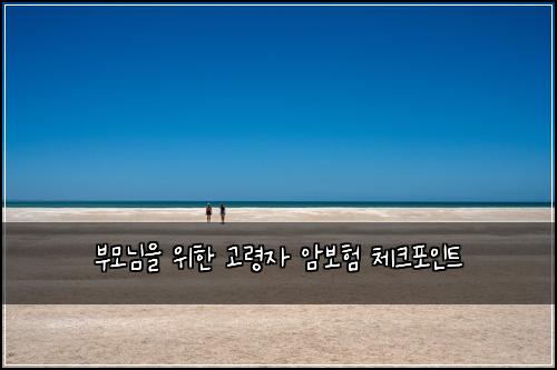 부모님을 위한 고령자 암보험 체크포인트