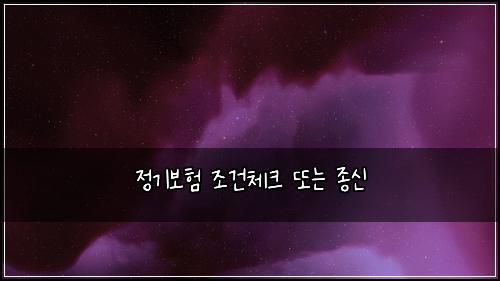 정기보험 조건체크  또는 종신