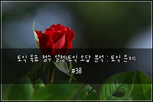 토익 목표 점수 설정 토익 오답 분석 : 토익 문제 #38