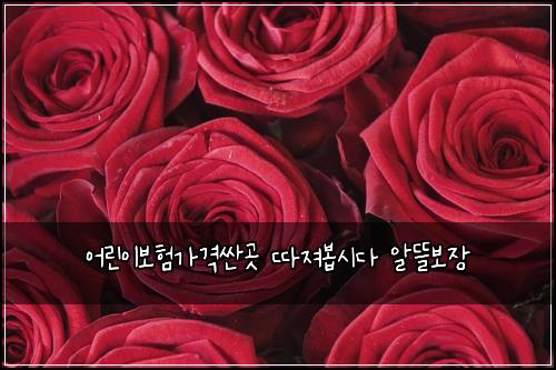 ์ด๋ฆฐ์ด๋ณดํ๊ฐ๊ฒฉ์ผ๊ณณ ๋ฐ์ ธ๋ด
์๋ค ์๋ฐ๋ณด์ฅ