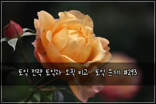 토익 전략 토익과 오픽 비교 : 토익 문제 #293