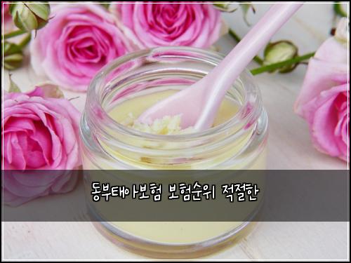 동부태아보험 보험순위  적절한