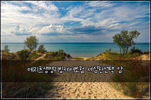 λ©λ¦¬μΈ μλͺ
리λΉμΌμ΄λ³΄ν μΈμ¬νμ ν μ