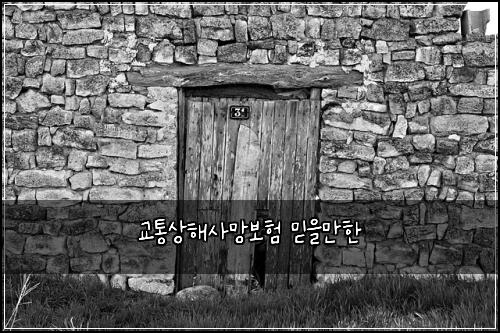 교통상해사망보험 믿을만한 