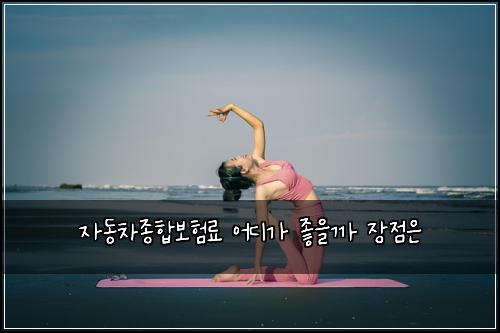자동차종합보험료 어디가 좋을까 장점은