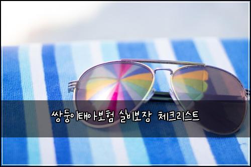 쌍둥이태아보험 실비보장 체크리스트