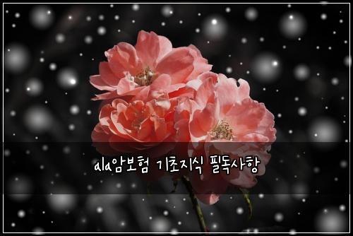 ala์๋ณดํ ๊ธฐ์ด์ง์ ํ๋
์ฌํญ