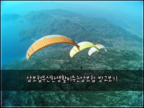 암보험무신한생활비주는암보험 받고보기