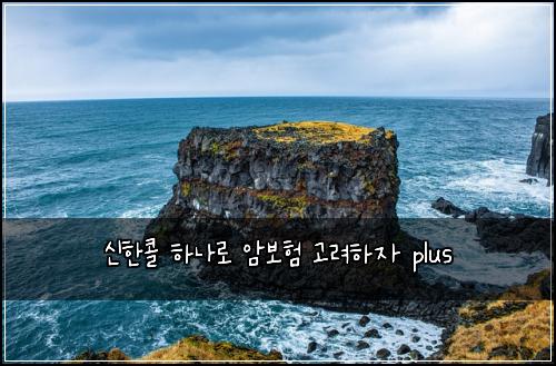 μ νμ½ νλλ‘ μ보ν κ³ λ €νμ plus