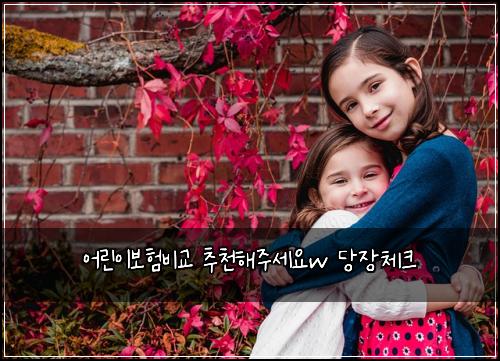 ์ด๋ฆฐ์ด๋ณดํ๋น๊ต ์ถ์ฒํด์ฃผ์ธ์w ๋น์ฅ์ฒดํฌ