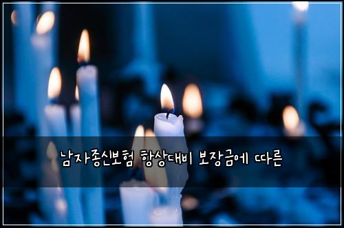남자종신보험 항상대비  보장금에 따른