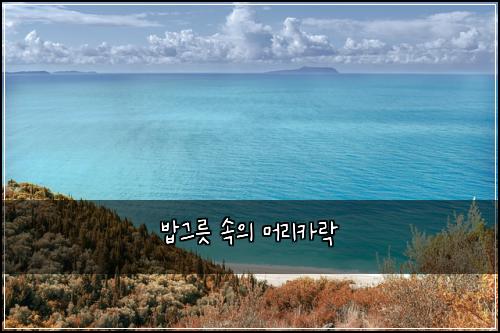 밥그릇 속의 머리카락