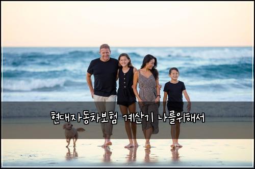 현대자동차보험 계산기  나를위해서