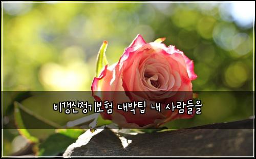 ๋น๊ฐฑ์ ์ ๊ธฐ๋ณดํ ๋๋ฐํ ๋ด ์ฌ๋๋ค์