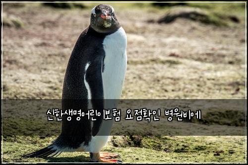 ์ ํ์๋ช
์ด๋ฆฐ์ด๋ณดํ ์์ ํ์ธ ๋ณ์๋น์