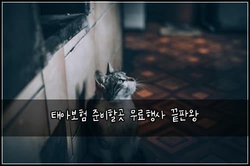 ํ์๋ณดํ ์ค๋นํ ๊ณณ ๋ฌด๋ฃํ์ฌ ๋ํ์