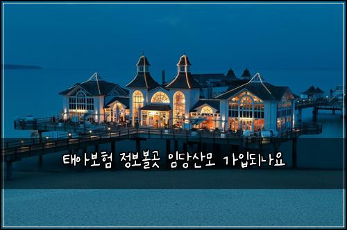 νμ보ν μ 보볼곳 μλΉμ°λͺ¨ κ°μ
λλμ