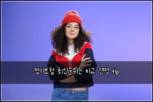 정기보험 최신순위는  비교 견적 tip