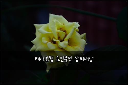 ํ์๋ณดํ ์์ธ๋ถ์ ์ํผ๋ด์
