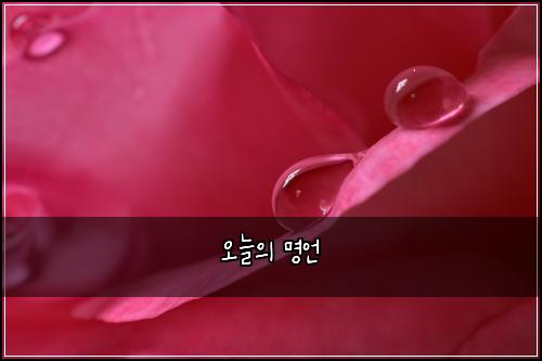 오늘의 명언