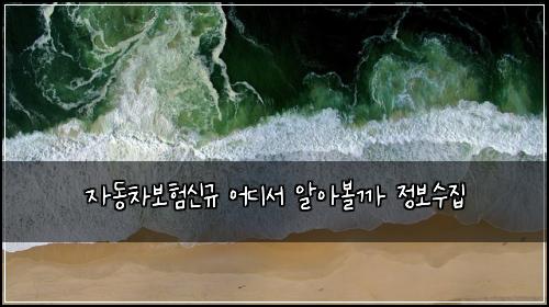 ์๋์ฐจ๋ณดํ์ ๊ท ์ด๋์ ์์๋ณผ๊น ์ ๋ณด์์ง
