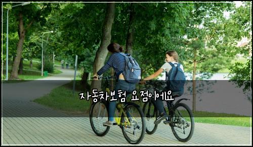 자동차보험 요점이에요  