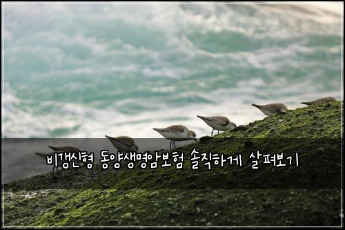 비갱신형 동양생명암보험 솔직하게 살펴보기