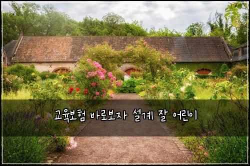 교육보험 바로보자  설계 잘 어린이