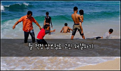 월 적정 암보험료 고민 해결하기