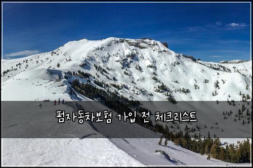 펌자동차보험 가입 전 체크리스트