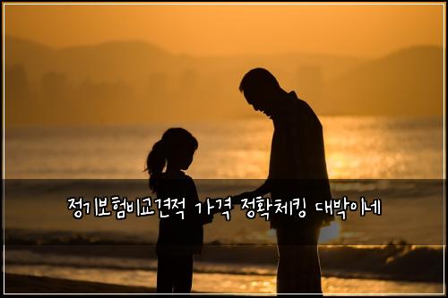 ์ ๊ธฐ๋ณดํ๋น๊ต๊ฒฌ์ ๊ฐ๊ฒฉ ์ ํ์ฒดํน ๋๋ฐ์ด๋ค