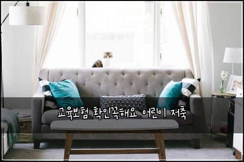 교육보험 확인꼭해요  어린이 저축