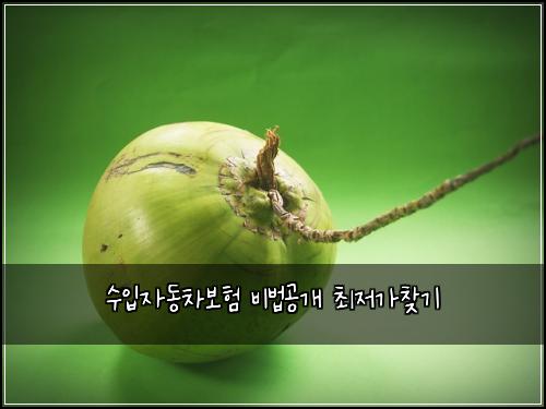 ์์
์๋์ฐจ๋ณดํ ๋น๋ฒ๊ณต๊ฐ ์ต์ ๊ฐ์ฐพ๊ธฐ