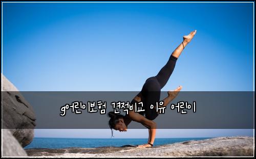 g์ด๋ฆฐ์ด๋ณดํ ๊ฒฌ์ ๋น๊ต ์ด์ ์ด๋ฆฐ์ด