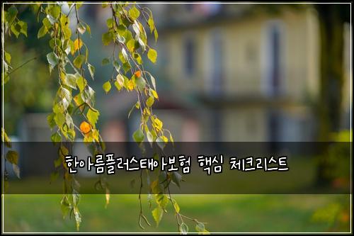 한아름플러스태아보험 핵심 체크리스트