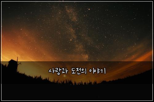 사랑과 도전의 이야기