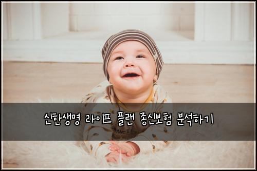 신한생명 라이프 플랜 종신보험 분석하기