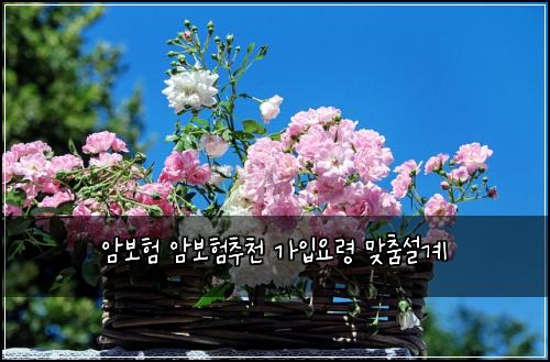 암보험 암보험추천 가입요령 맞춤설계