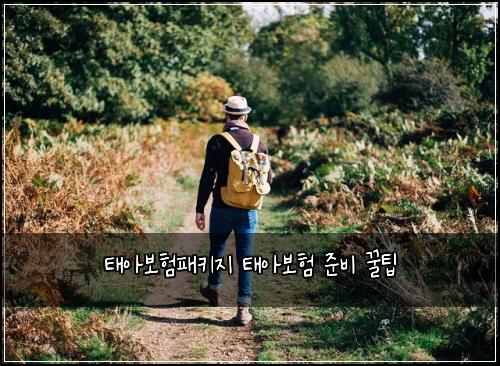태아보험패키지 태아보험 준비 꿀팁