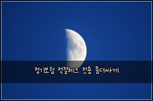 정기보험 적절체크  전용 좀더싸게