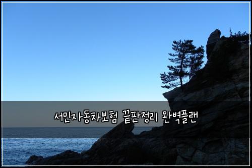 ์๋ฏผ์๋์ฐจ๋ณดํ ๋ํ์ ๋ฆฌ ์๋ฒฝํ๋