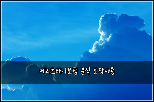 ๋ฉ๋ฆฌ์ธ ํ์๋ณดํ ๋ถ์ ๋ณด์ฅ๋ด์ฉ