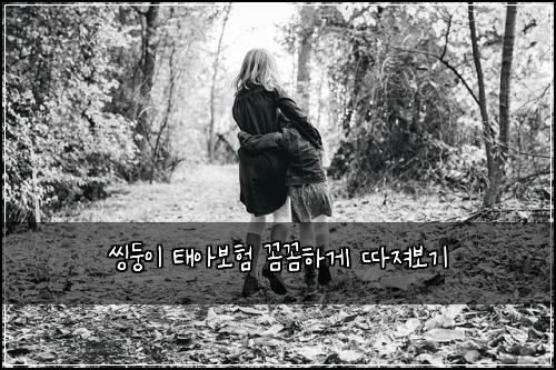 씽둥이 태아보험 꼼꼼하게 따져보기