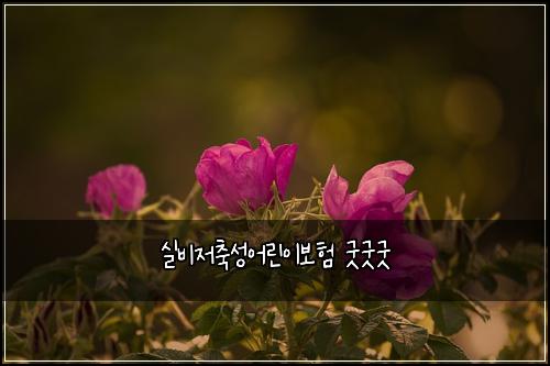 ์ค๋น์ ์ถ์ฑ์ด๋ฆฐ์ด๋ณดํ ๊ตฟ๊ตฟ๊ตฟ