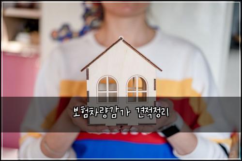 ๋ณดํ์ฐจ๋๊ฐ๊ฐ ๊ฒฌ์ ์ ๋ฆฌ